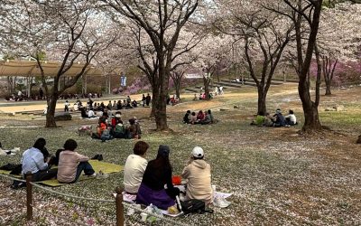 Me enamoré en primavera